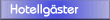 Web-G�ster och kunder